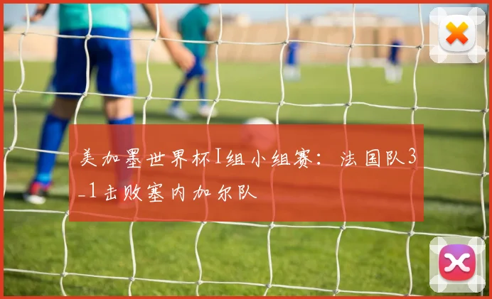 美加墨世界杯I组小组赛：法国队3_1击败塞内加尔队